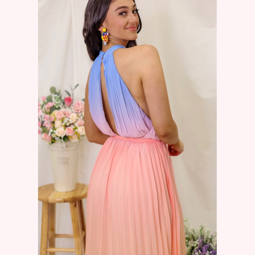 NWT Jealous Tomato Maxi Dress